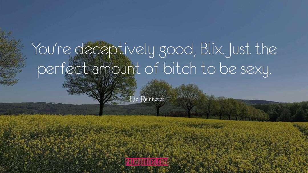 Blix quotes by Liz Reinhardt
