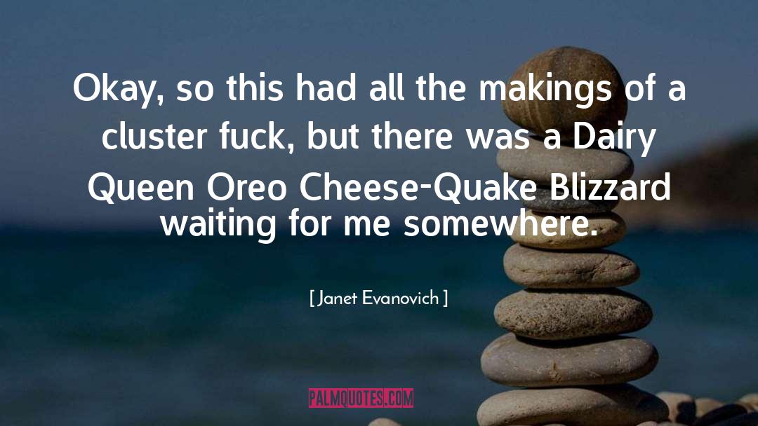 Blizzard quotes by Janet Evanovich