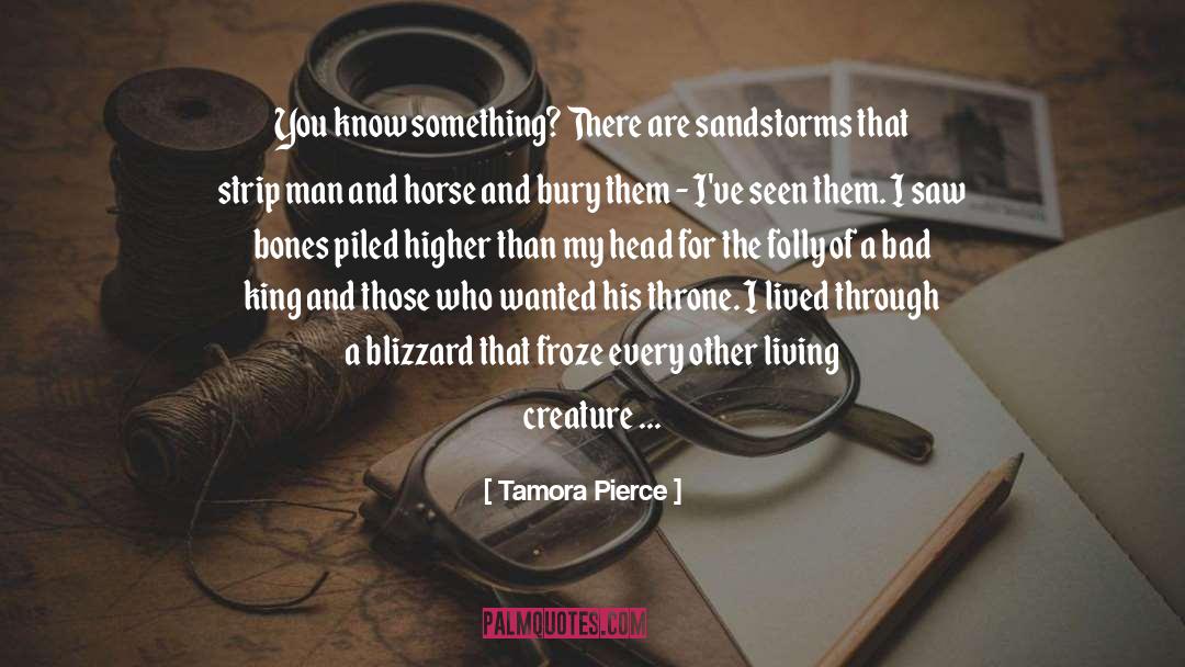 Blizzard quotes by Tamora Pierce