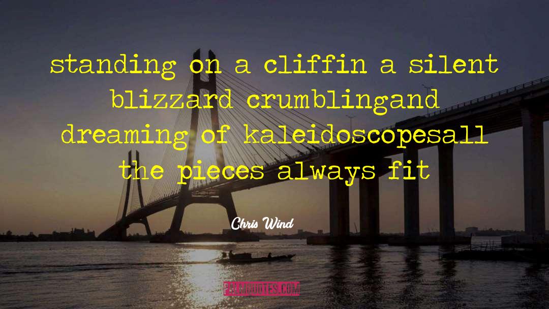Blizzard quotes by Chris Wind