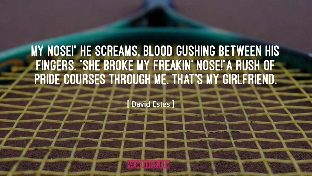Blocked Nose Funny quotes by David Estes