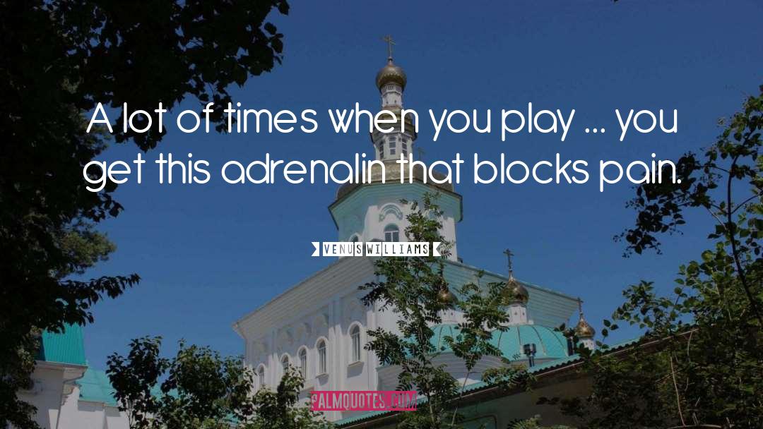 Blocks quotes by Venus Williams