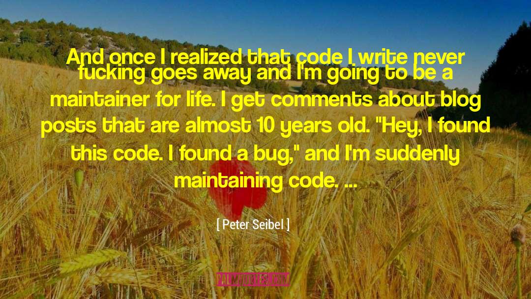 Blog quotes by Peter Seibel