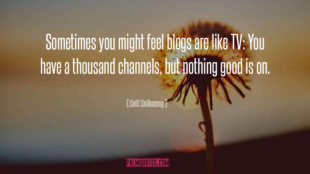 Blogs quotes by Matt Mullenweg