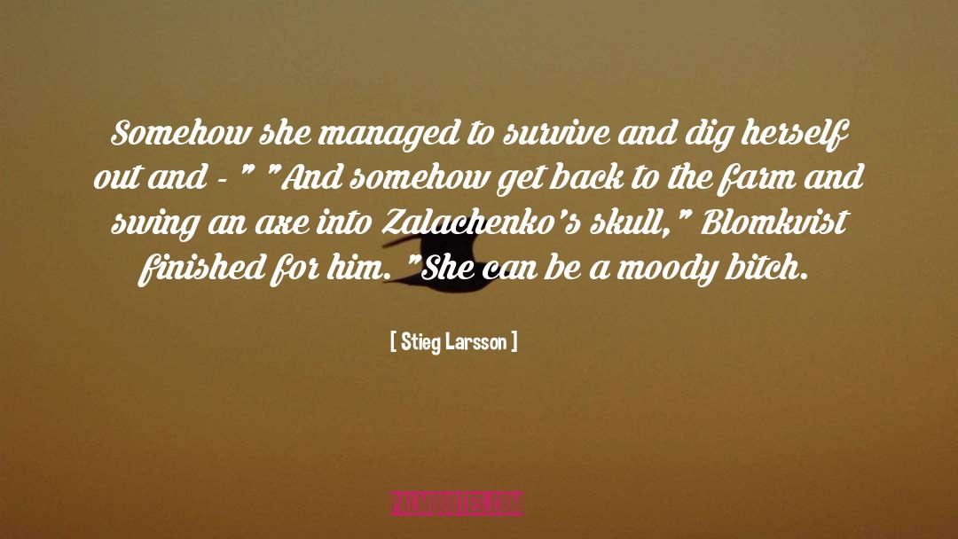 Blomkvist quotes by Stieg Larsson