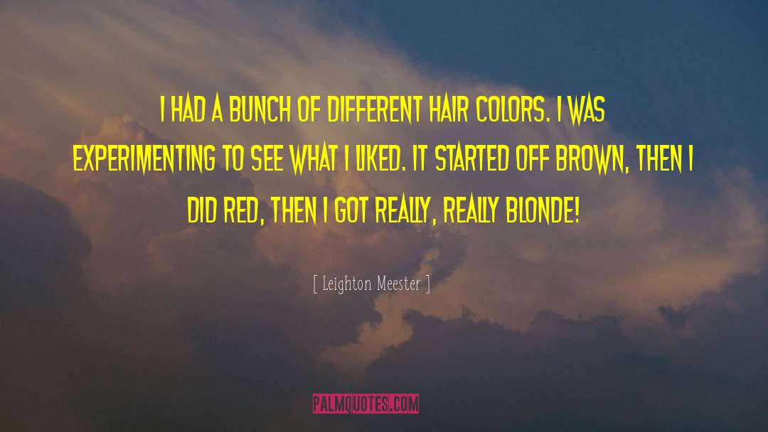 Blonde Hair quotes by Leighton Meester