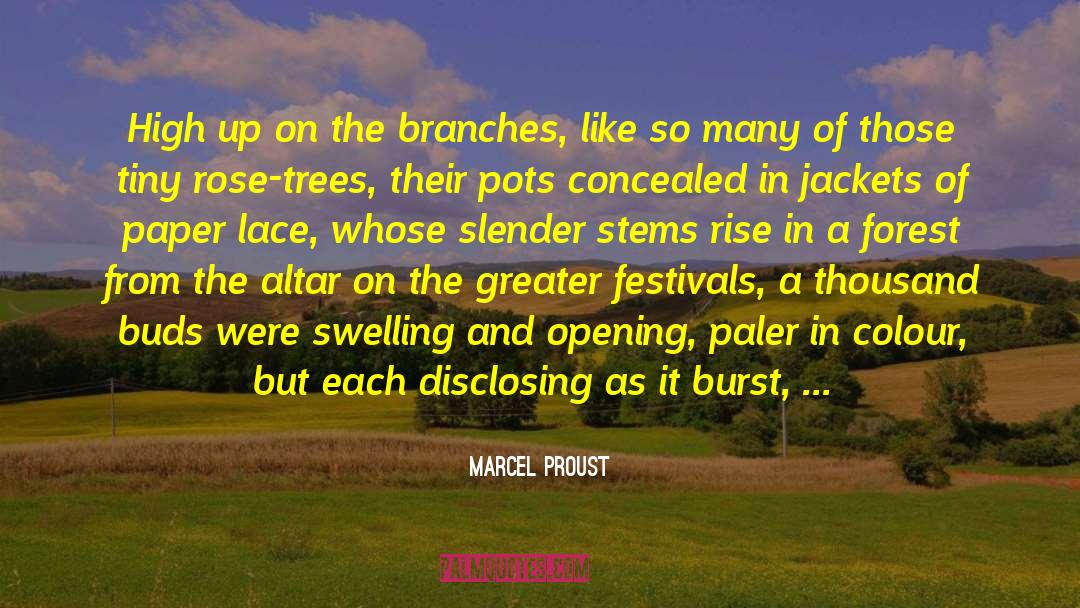 Blood And Scars quotes by Marcel Proust