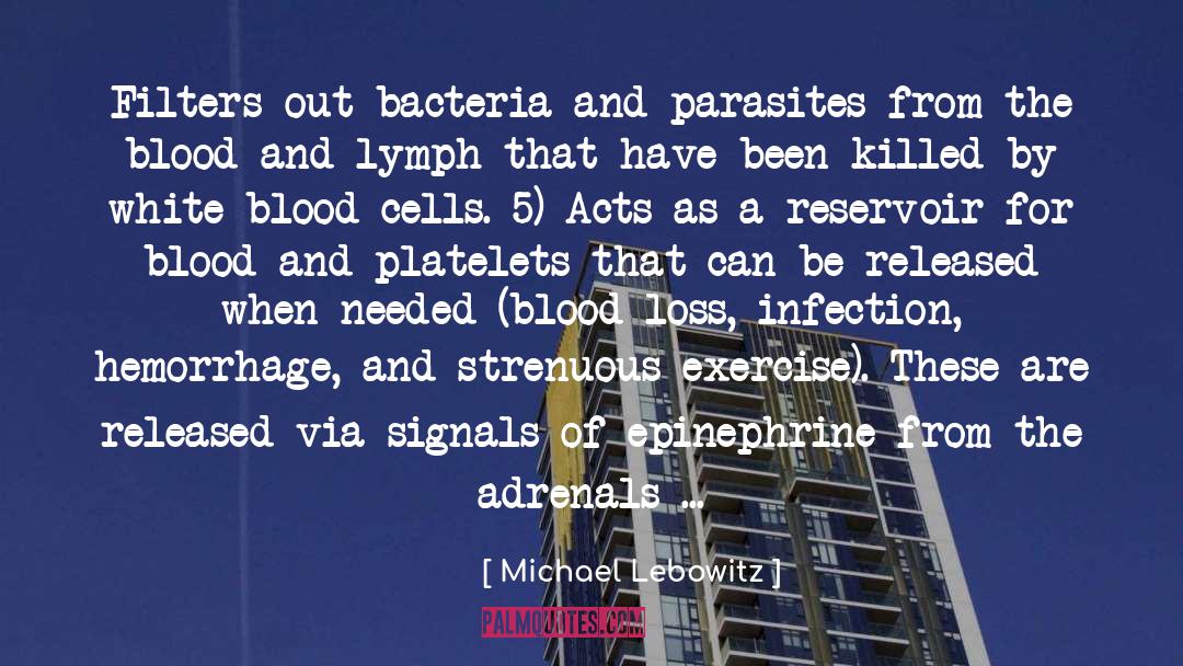 Blood Cells quotes by Michael Lebowitz