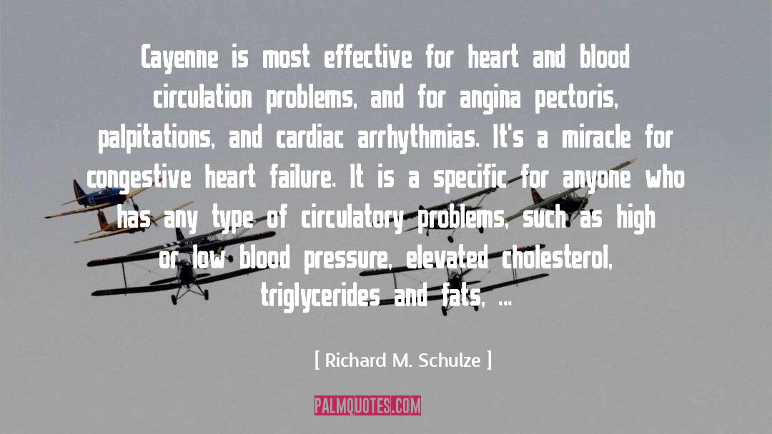 Blood Circulation quotes by Richard M. Schulze