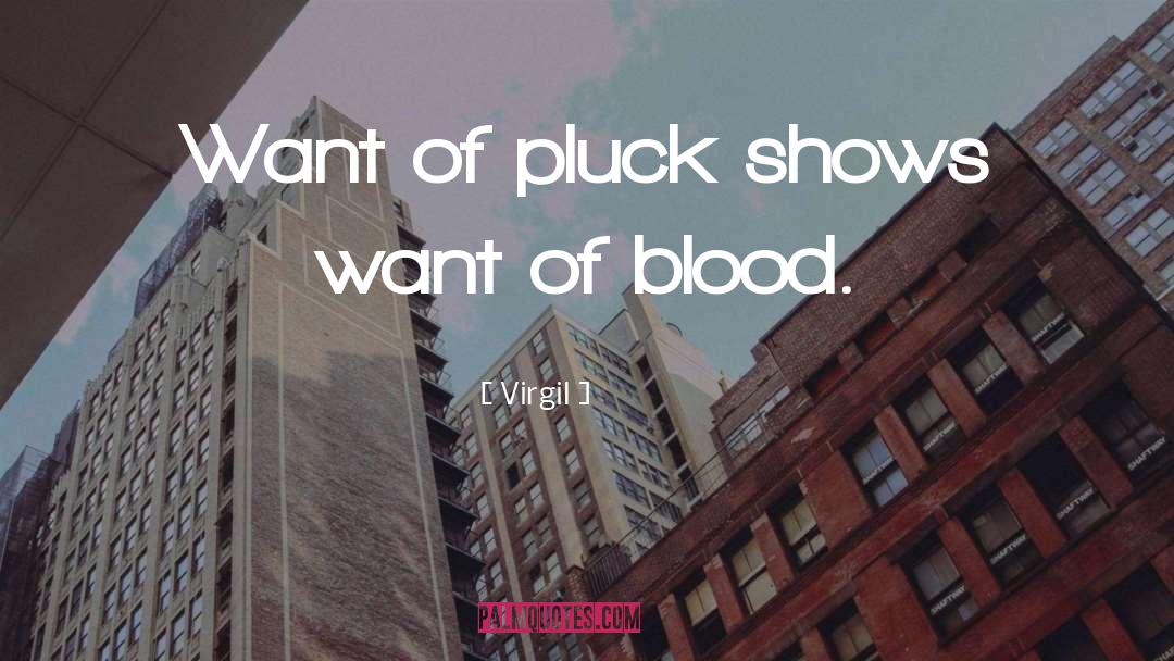 Blood Hunters quotes by Virgil