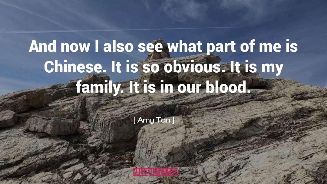 Blood In Our Eyes quotes by Amy Tan