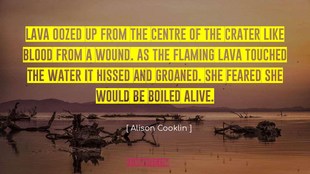 Blood Meridian quotes by Alison Cooklin