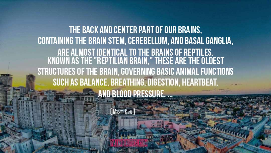 Blood Pressure quotes by Michio Kaku