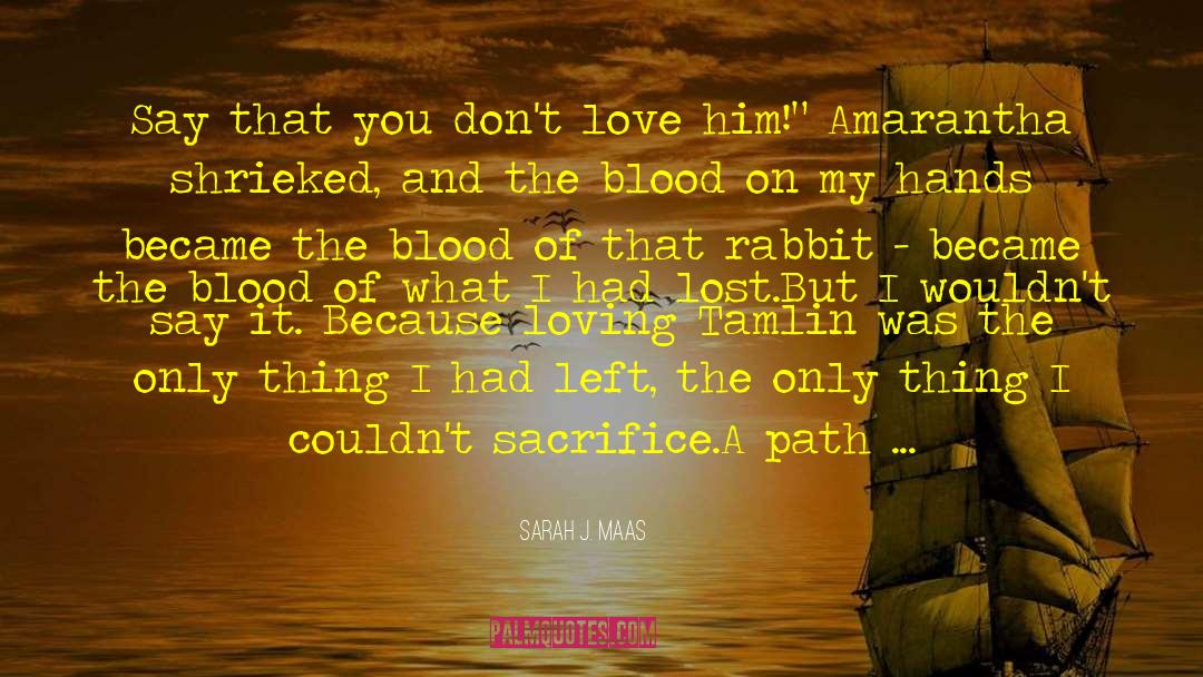 Blood Red Lips quotes by Sarah J. Maas