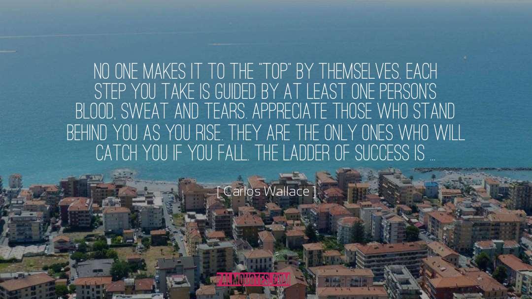 Blood Sweat And Tears quotes by Carlos Wallace