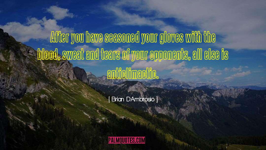 Blood Sweat And Tears quotes by Brian D'Ambrosio