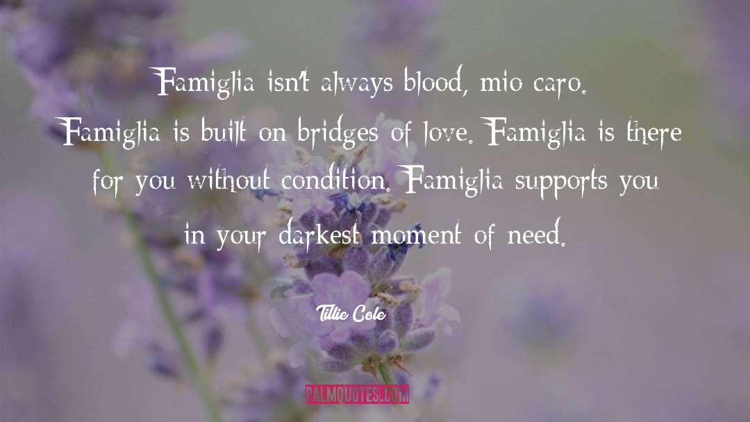 Blood Ties quotes by Tillie Cole