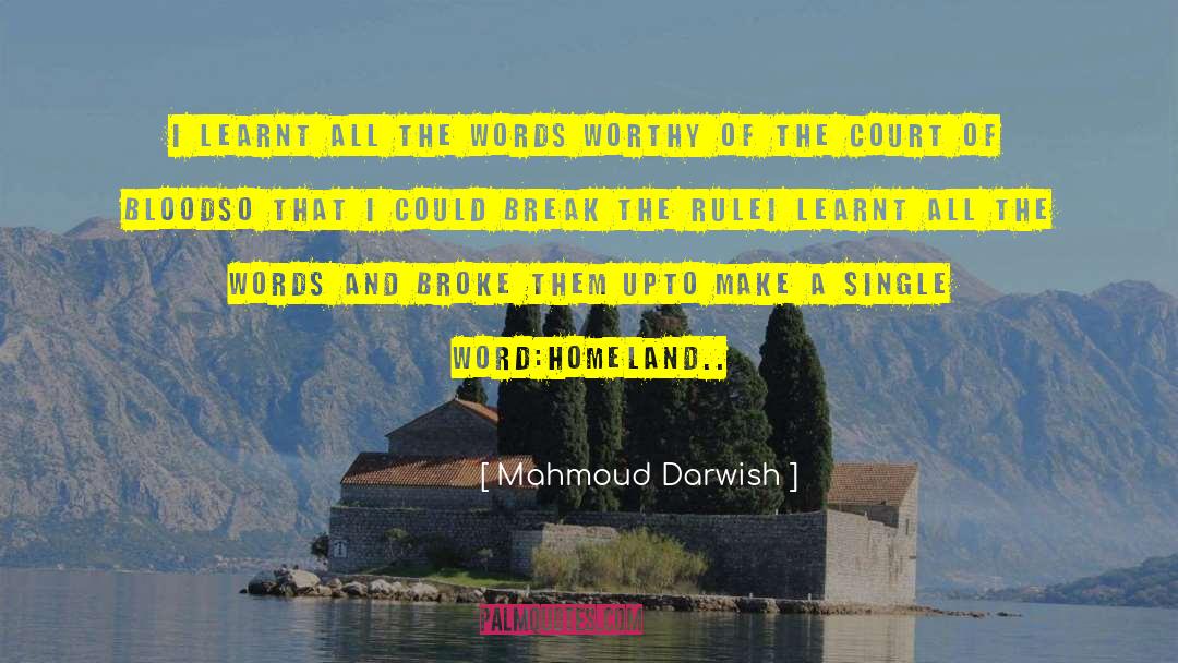 Blood Tub quotes by Mahmoud Darwish