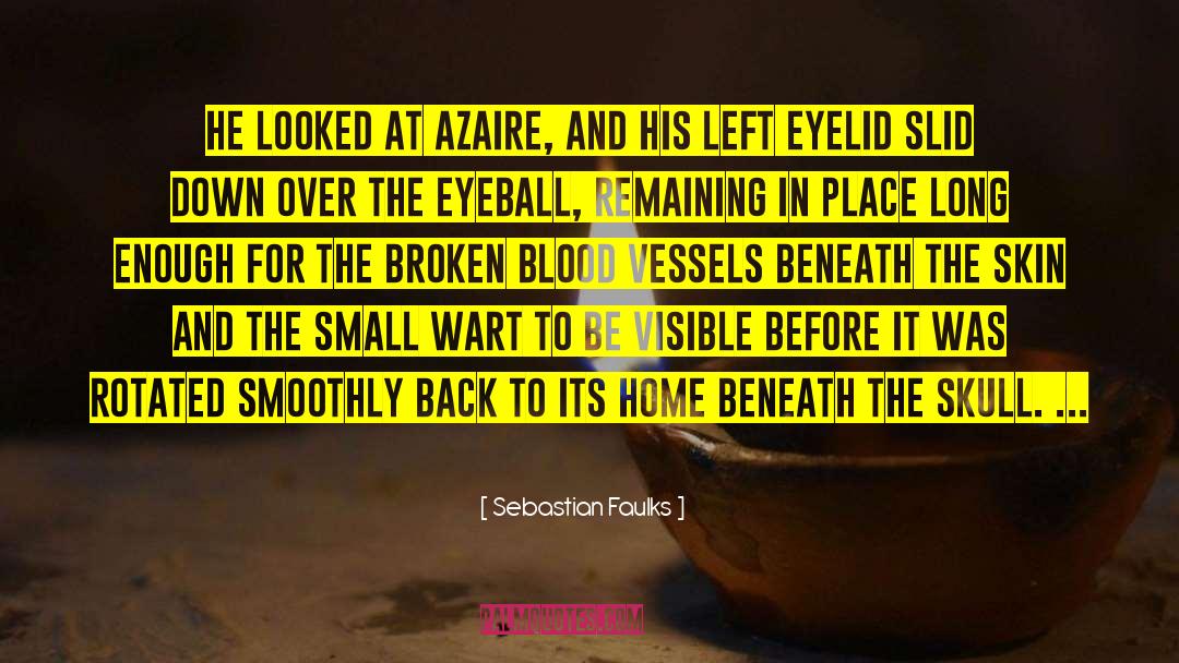 Blood Vessels quotes by Sebastian Faulks