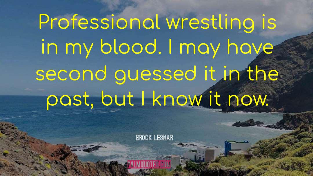 Blood Warrior quotes by Brock Lesnar