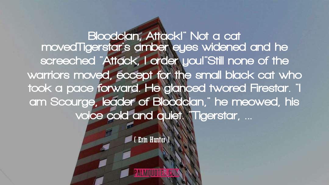 Bloodclan quotes by Erin Hunter