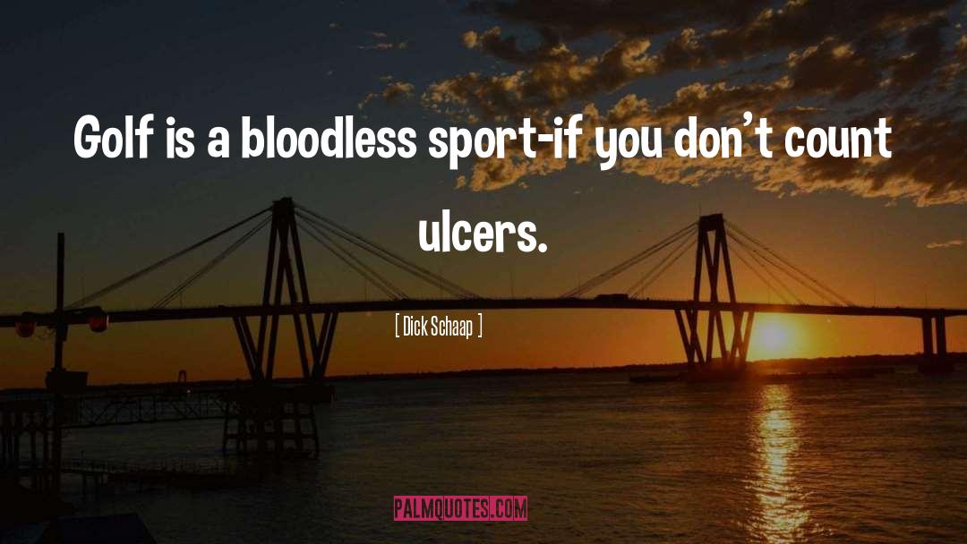 Bloodless quotes by Dick Schaap