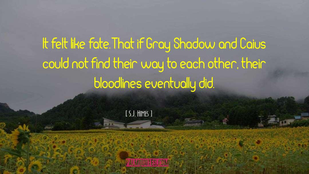 Bloodlines quotes by S.J. Himes