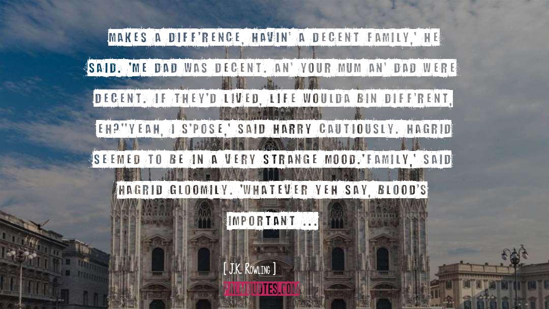 Bloods quotes by J.K. Rowling