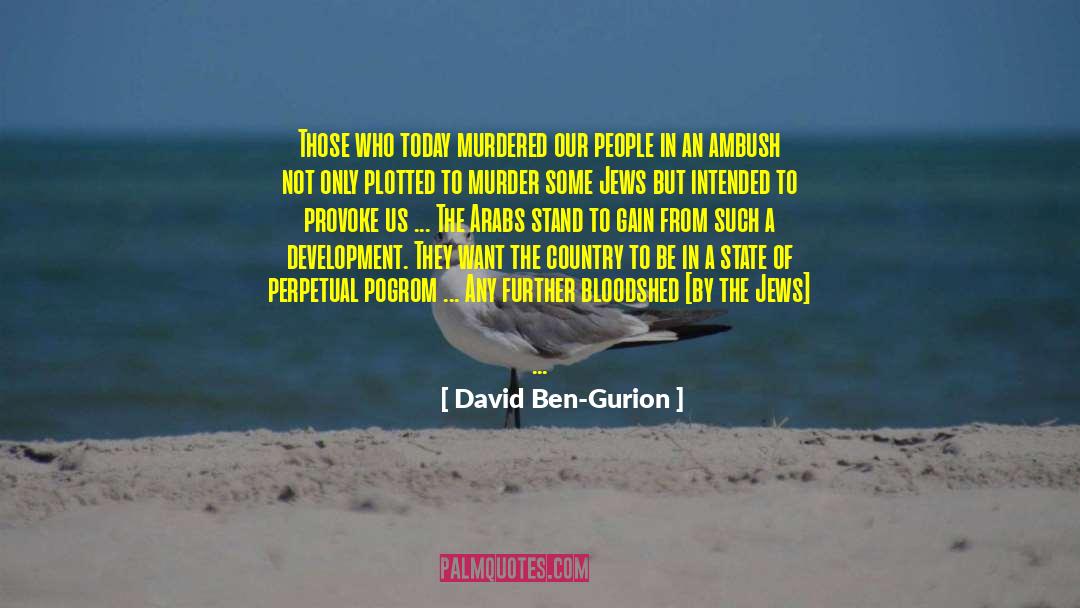 Bloodshed quotes by David Ben-Gurion