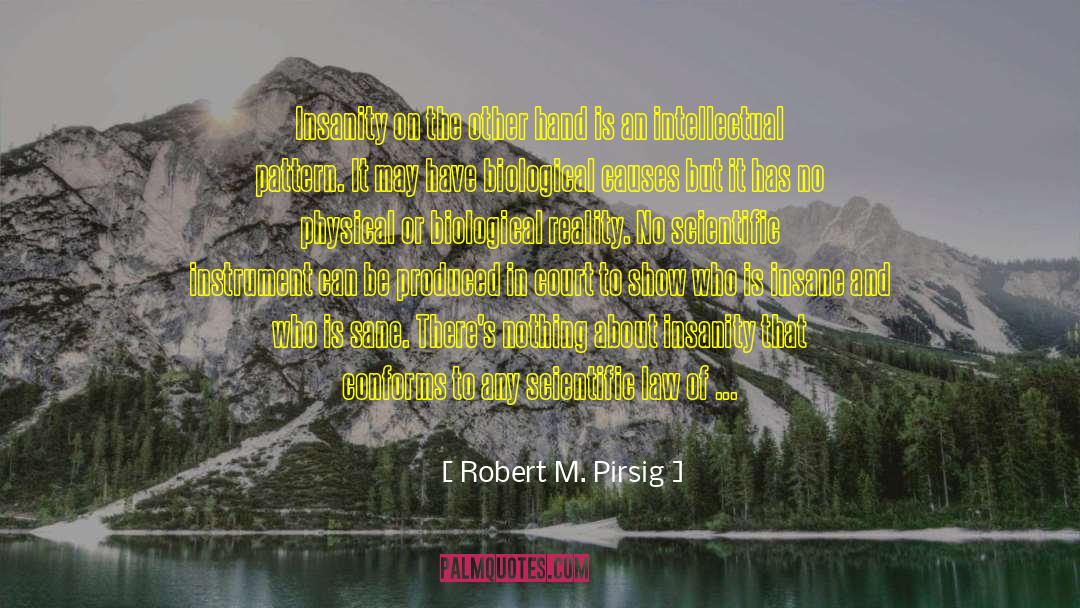 Bloodstain Patterns quotes by Robert M. Pirsig