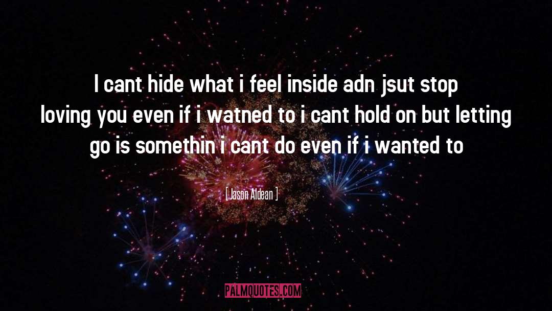 Bloodstream Lyrics quotes by Jason Aldean