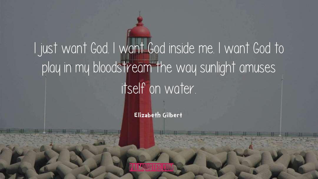 Bloodstream quotes by Elizabeth Gilbert