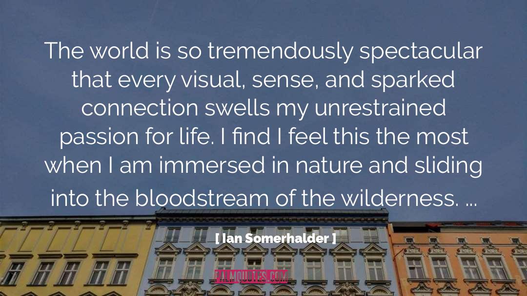 Bloodstream quotes by Ian Somerhalder