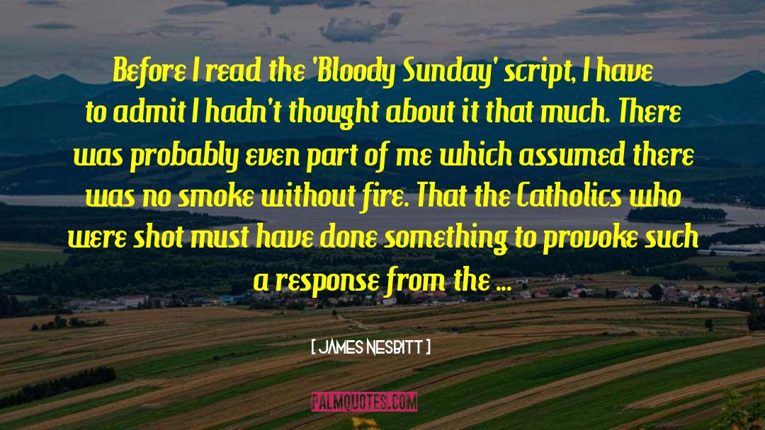 Bloody Sunday quotes by James Nesbitt