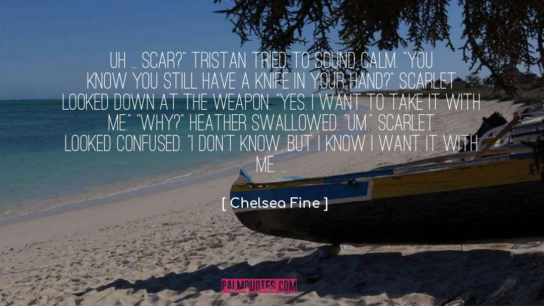 Bloody Weapons quotes by Chelsea Fine