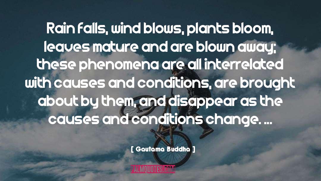 Bloom quotes by Gautama Buddha