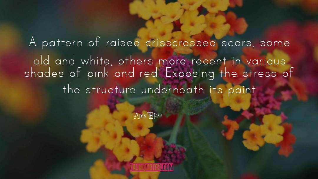 Bloom Shades quotes by Amy Efaw