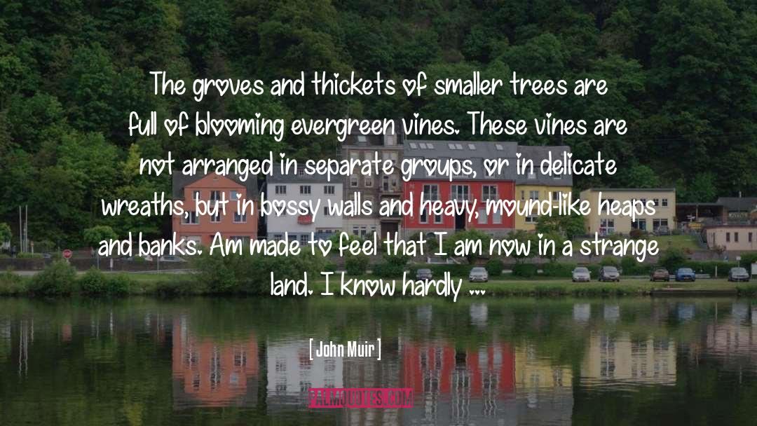 Blooming quotes by John Muir