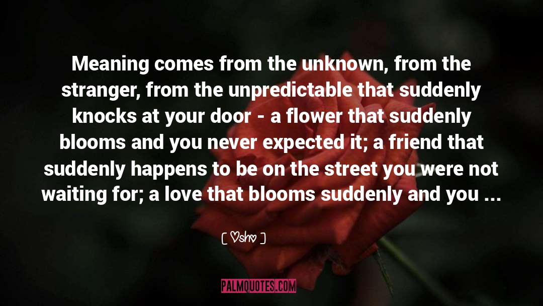 Blooms quotes by Osho