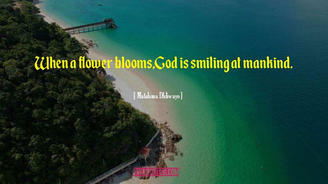 Blooms quotes by Matshona Dhliwayo