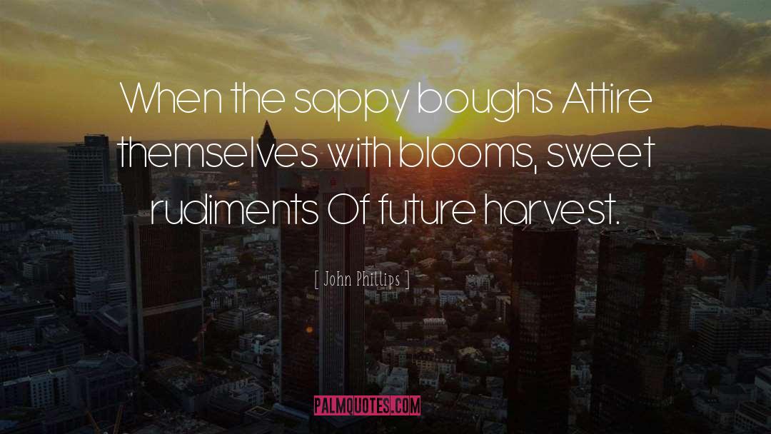 Blooms quotes by John Phillips
