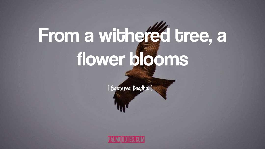Blooms quotes by Gautama Buddha
