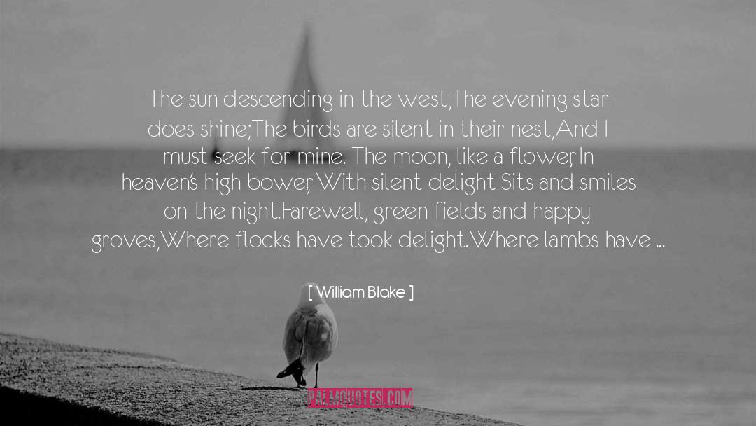 Blossom quotes by William Blake