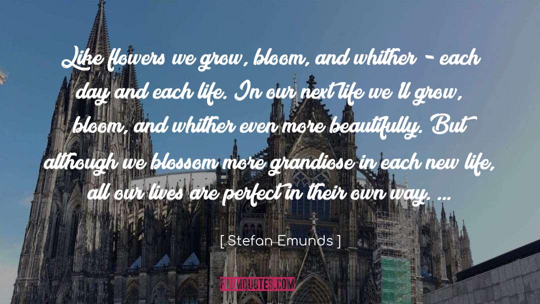 Blossom quotes by Stefan Emunds