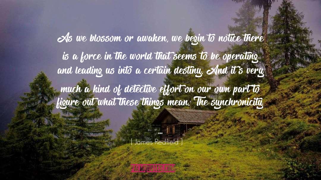 Blossom quotes by James Redfield