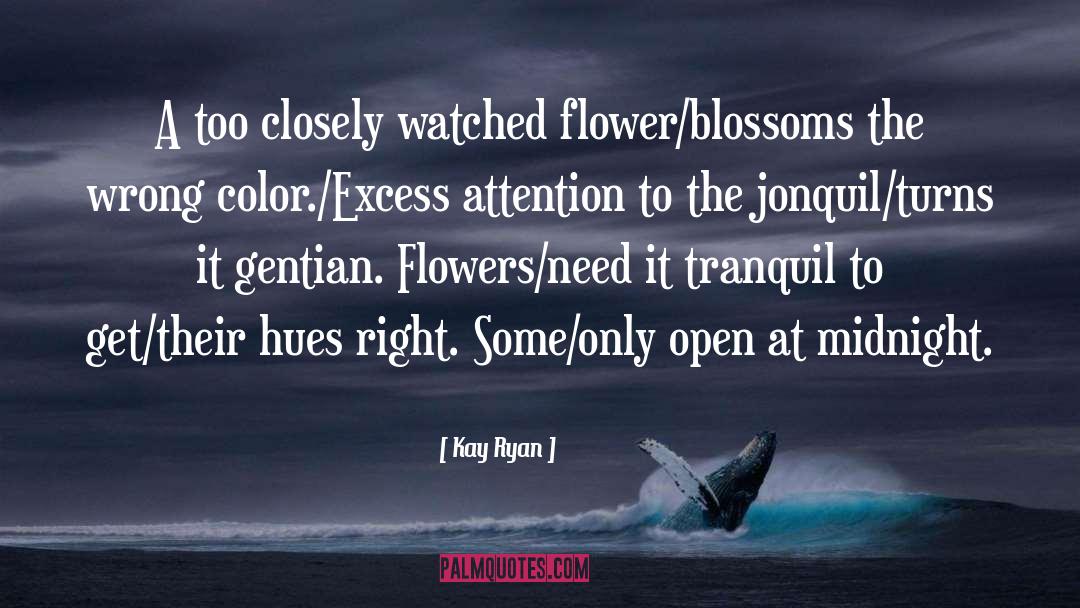 Blossom quotes by Kay Ryan