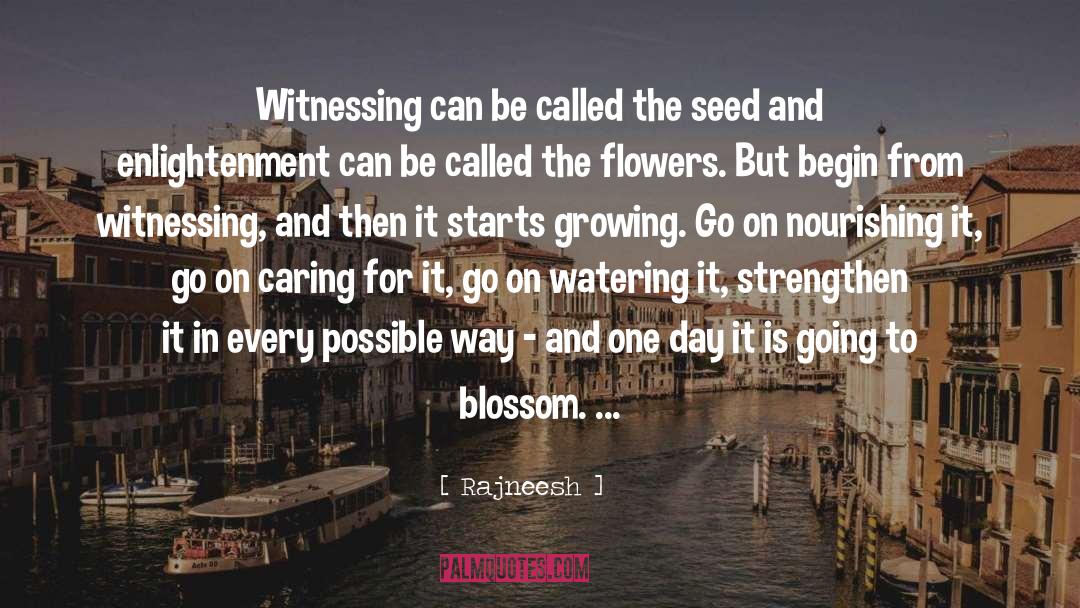 Blossom quotes by Rajneesh