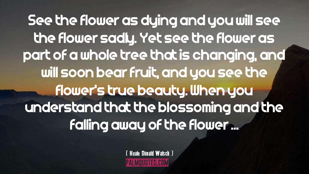 Blossoming quotes by Neale Donald Walsch