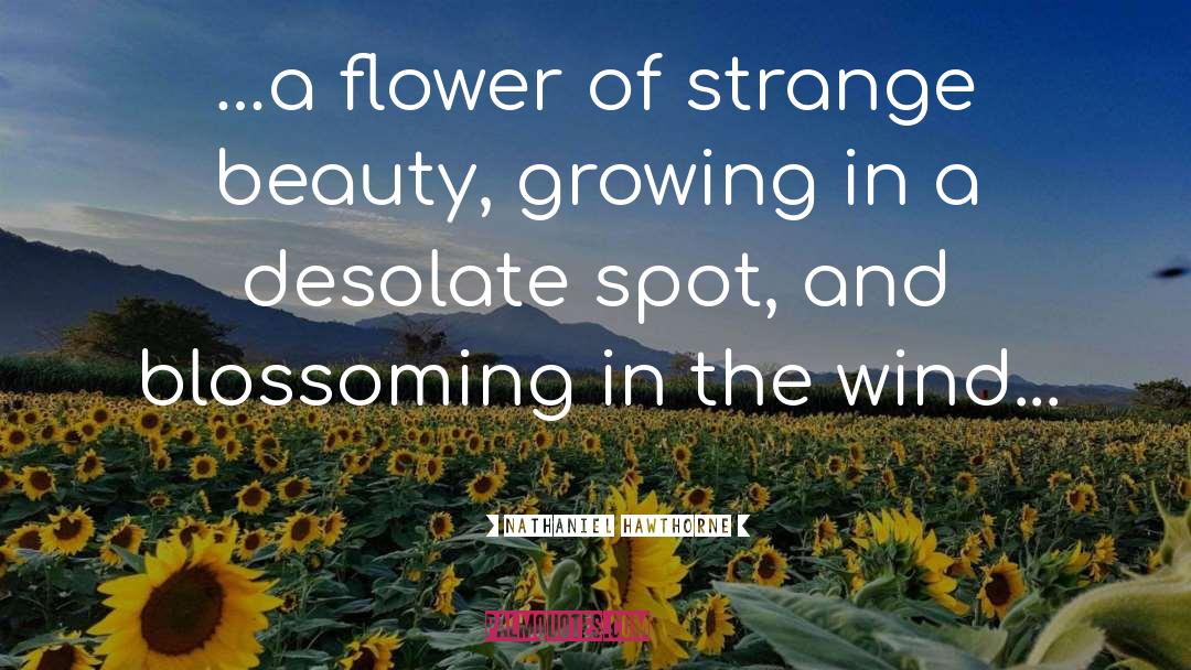 Blossoming quotes by Nathaniel Hawthorne