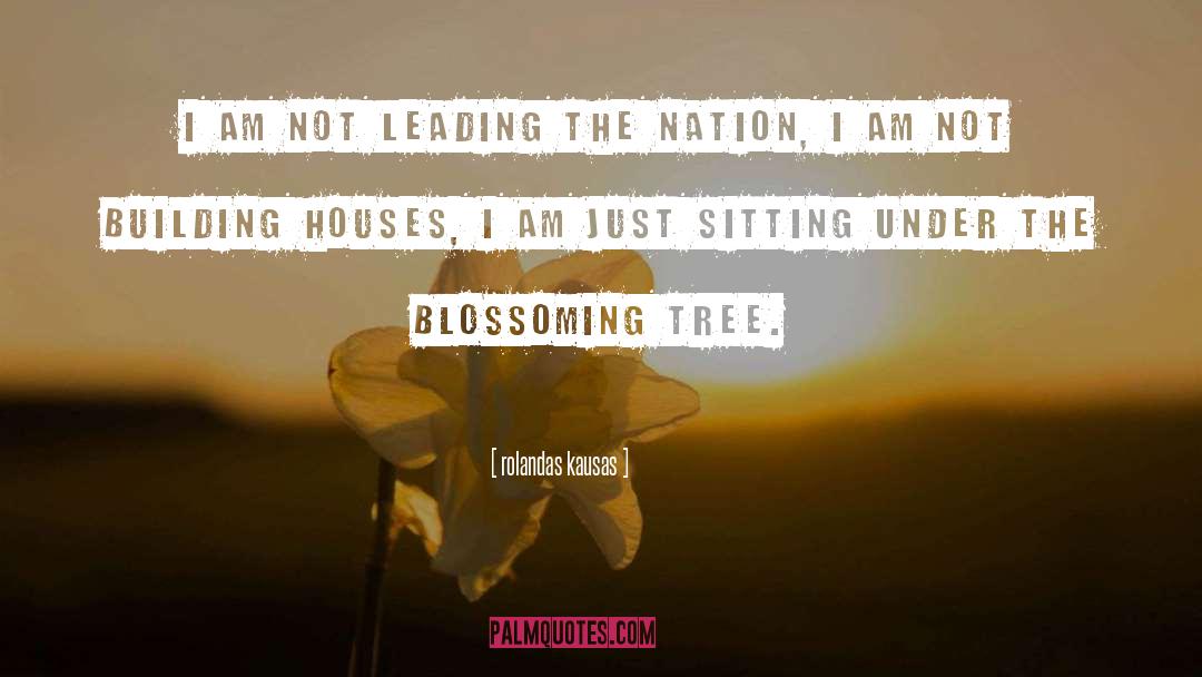 Blossoming quotes by Rolandas Kausas